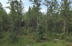 769 Ms-43, Oak Vale, MS 39656