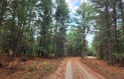 Parcel J Tatanka Trail, Baldwin, MI 49304