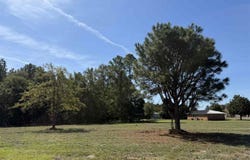 Isaiah Drive lot: 2, Dillon, SC 29536