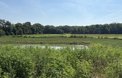 1565 Eagle Valley Court, Zionsville, IN 46077