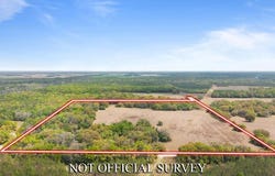 464 NE Morning Glory Rd., Mayo, FL 32066