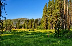 Secesh River Road, Secesh, ID 83547