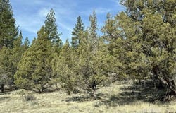 HWY 140, Beatty, OR 97621