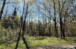 Off Haskell Road, Piseco, NY 12139