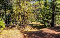 8735 Bering Road, Alturas, CA 96101