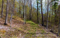 476 NXT Lincoln Road, Williston, VT 05495
