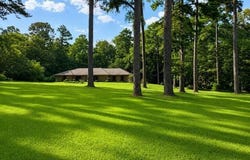932 White Road, Florence, MS 39073