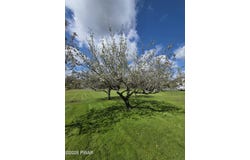 131 Lake Quinn Road, Waymart, PA 18472