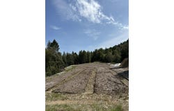 Redwood Highway, O'Brien, OR 97534