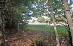 White Pine lot: 1, Spring Green, WI 53588