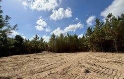 Robert Bateman Road, Franklinton, LA 70438