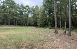 10957 State Hwy 160, Doddridge, AR 71834