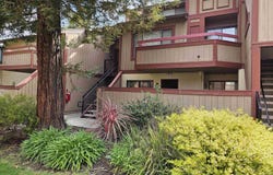 247 E Warren Cmn, Fremont, CA 94539