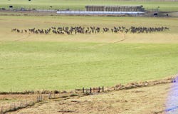 24950 Hwy. 93, Challis, ID 83226