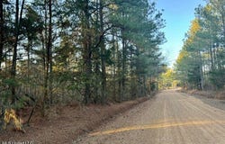 County Road 1113, Kosciusko, MS 39090