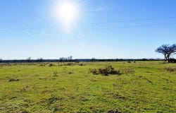 2905 County Road 329, Granger, TX 76530