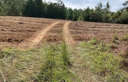 500 Pond Creek Rd, LUVERNE, AL 46079