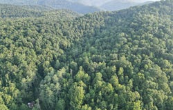 Flatwoods Run, Sutton, WV 26601