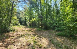 Barnacre Road, Batesville, MS 38606