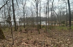 County Road 29, Alberta, AL 36720