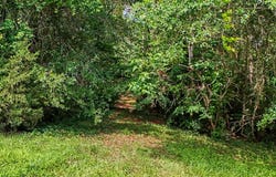 Mount Carmel Rd, Lufkin, TX 75904