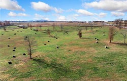 Gipson Road lot: 0, Harrison, AR 72601