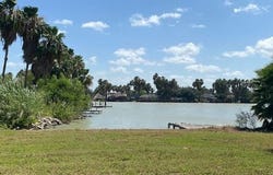 1003 Vela Jackson Avenue, La Joya, TX 78560