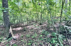 Red River Road, Fox, AR 72051