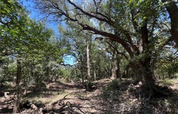 COUNTY ROAD 137, Cisco, TX 76437
