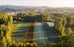 25159 GRANGE HALL Rd, Philomath, OR 97370