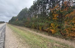 161 Sigma Road SE, Kalkaska, MI 49646