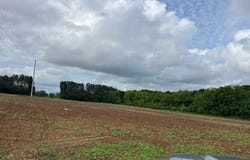 US Highway 431, Eufaula, AL 36027