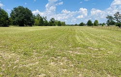 Campbell Circle, Alford, FL 32420