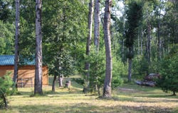 3195 Saddleback Lake Road, Comins, MI 48619