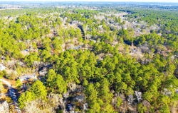 Cedar Court lot: 30, Trinity, TX 75862