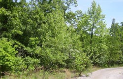 21 Silver Spur Court, Camdenton, MO 65020
