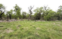 CR 156, Breckenridge, TX 76424