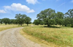 US 380 Highway, Jacksboro, TX 76458