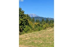 18209 NE PEG Rd, Yacolt, WA 98675