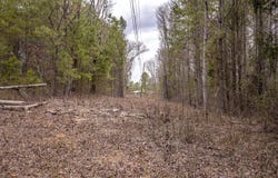 Hwy 488, Carthage, MS 39051