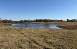 124.75ac Donald Road, Krum, TX 76249