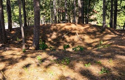 Davidson Court, Lead, SD 57754