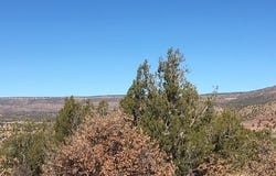 Tract 7B Moondance Ranch, Las Vegas, NM 87701