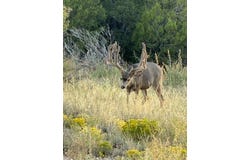 19 Bolivar Loop, Tijeras, NM 87059