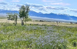 155 Two Bumps Road, Ennis, MT 59729