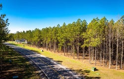 Crockett Point, Jasper, TN 37347