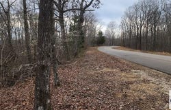 Birdsong Rd, HOLLADAY, TN 38341