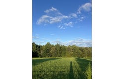 1480 BRUCE Rd E, Whiteville, TN 38075