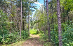 2072 Evening Shade Dr, Evening Shade, AR 72532