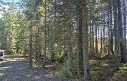 Schmidt Mill Road, Weippe, ID 83544